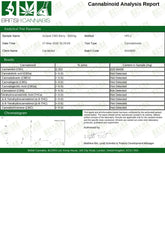 214397724.webp